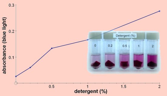 permeabilità membrana detergenti